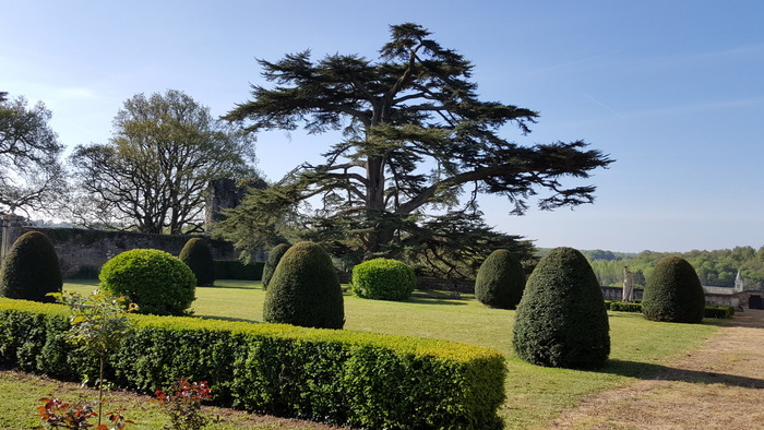 Rendez-vous aux jardins Jardin du château-fort de Montreuil Bonnin Boivre-la-Vallée
