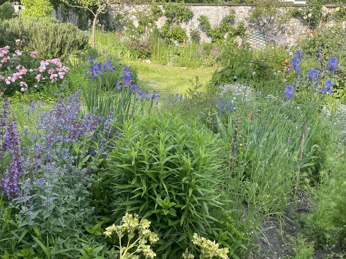 Visite de jardin et troc de plantes Jardin du côté des roches brunes Montreuil