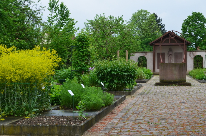 Ateliers artistiques et sensoriels pour petits et grands Jardin monastique de plantes médicinales Eschau