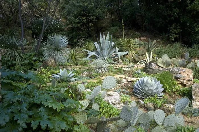 Jeu du toucher et de l'odorat pour reconnaître les plantes du jardin Jardins de la Fontaine Nîmes