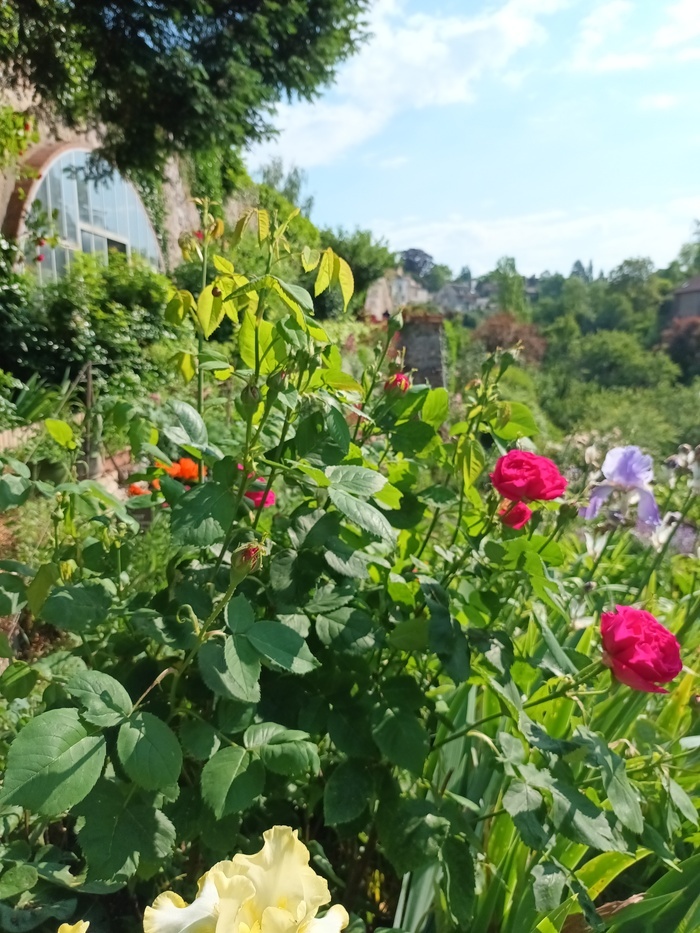 Visite jardins-terrasses de l'association « Traverses » d'Avallon Jardins terrasses - association « Traverses » Avallon