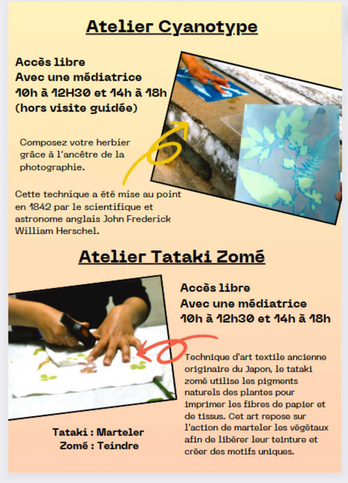 Atelier Cyanotype et Tataki Zomé L'artsolite Saint-Jean-en-Royans