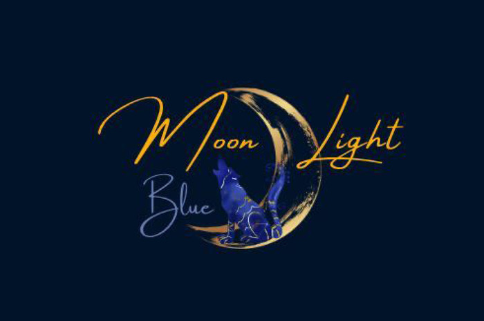 Blue Light Moon - Les rencontres du mercredi Le Grand Sud Lille