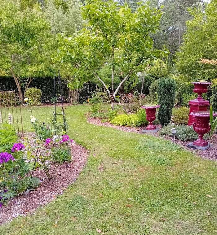 Visite commentée Le jardin de Camille Ménestreau-en-Villette
