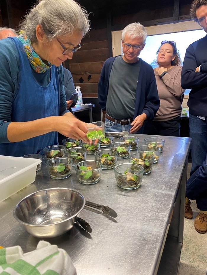 Atelier apprendre à cuisiner les algues alimentaires Les Jardins de la Mer Le croisic