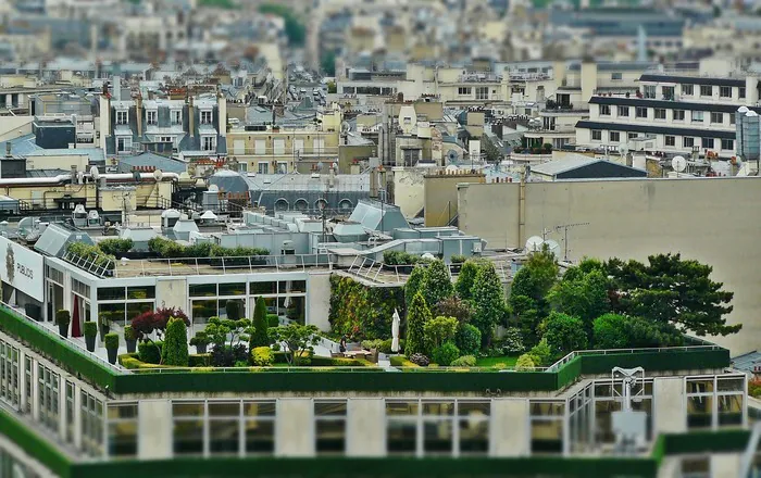 Un potager sur mon toit - BOULOGNE-BILLANCOURT Maison de la Planète Boulogne-Billancourt