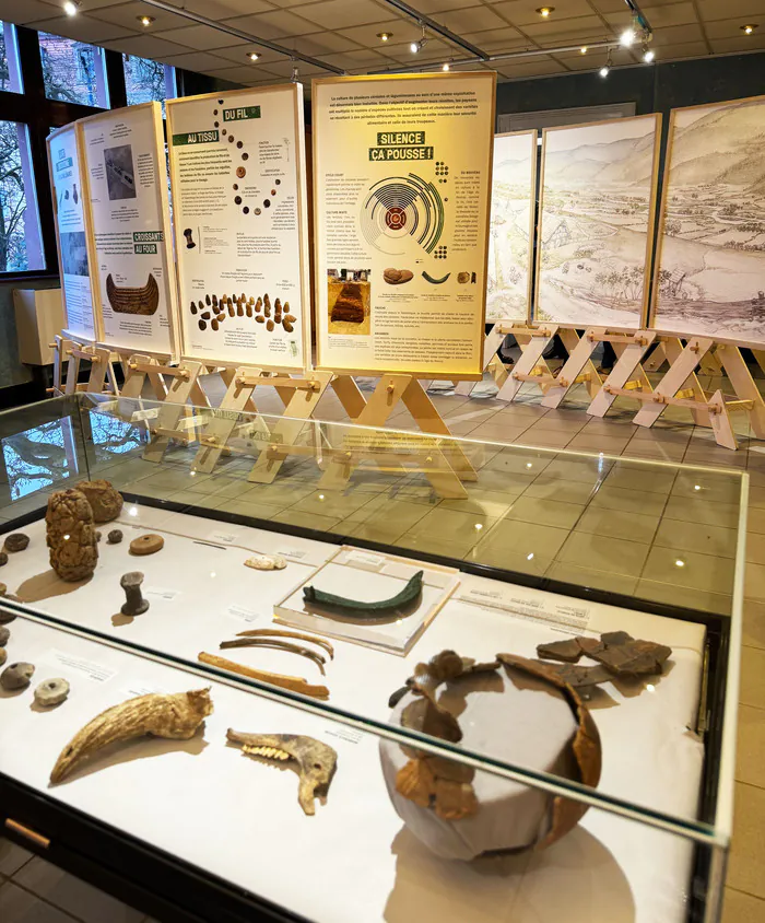 Visite commentée de l'exposition Jours ordinaires il y a trois millénaires Maison de l'archéologie des Vosges du Nord Niederbronn-les-Bains