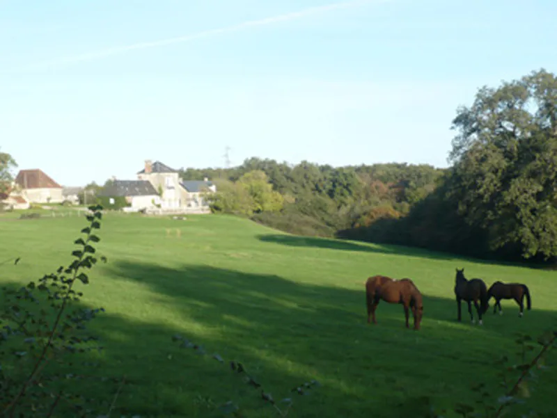 La Brenne à cheval : circuits en marguerite au départ du domaine de Montgenoux Prissac Centre-Val de Loire