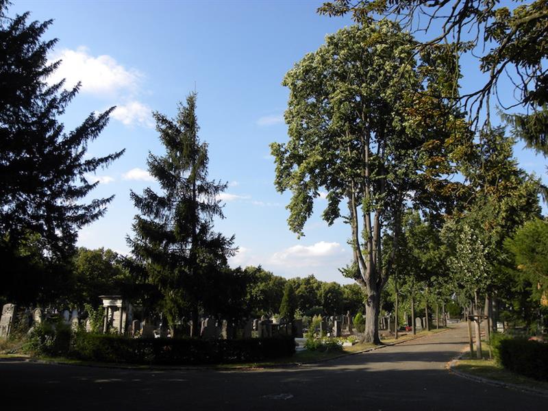 Printemps des cimetières visite guidée du cimetière central
