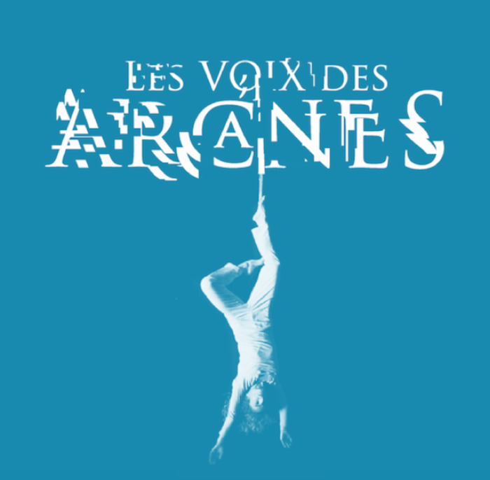 Déambulation audiovisuelle : Les Voix des Arcanes Musée de l'hôtel Sandelin Saint-Omer