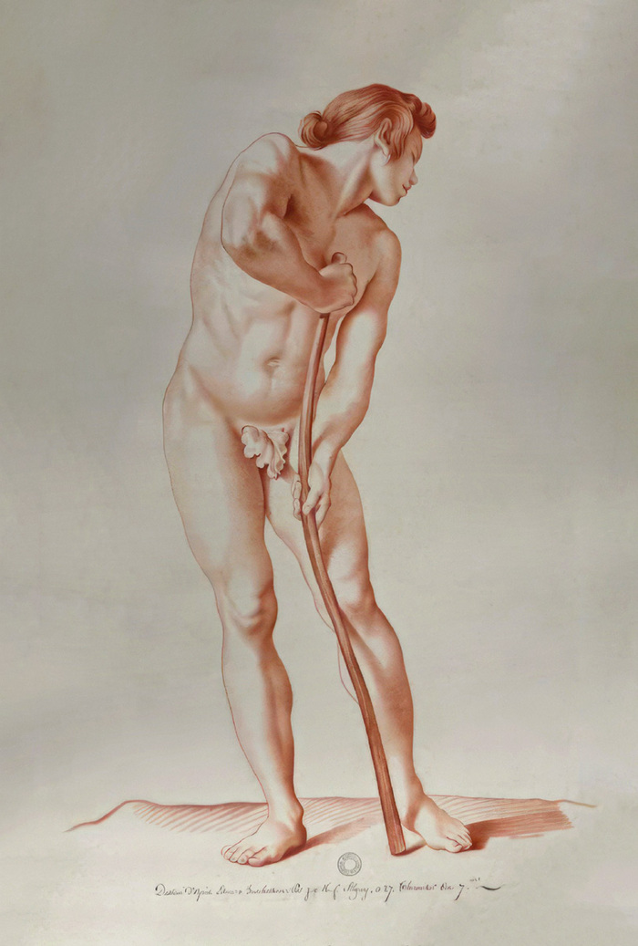 Accrochage "C'est du béton - éloge du muscle" Musée des Beaux-Arts de Quimper Quimper