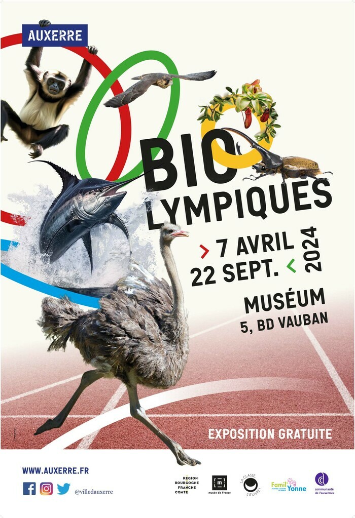 Biolympiques Muséum d'Auxerre Auxerre