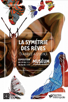 Exposition La Symétrie des rêves (jusqu'au 6 janvier 2025) Muséum d'Histoire Naturelle