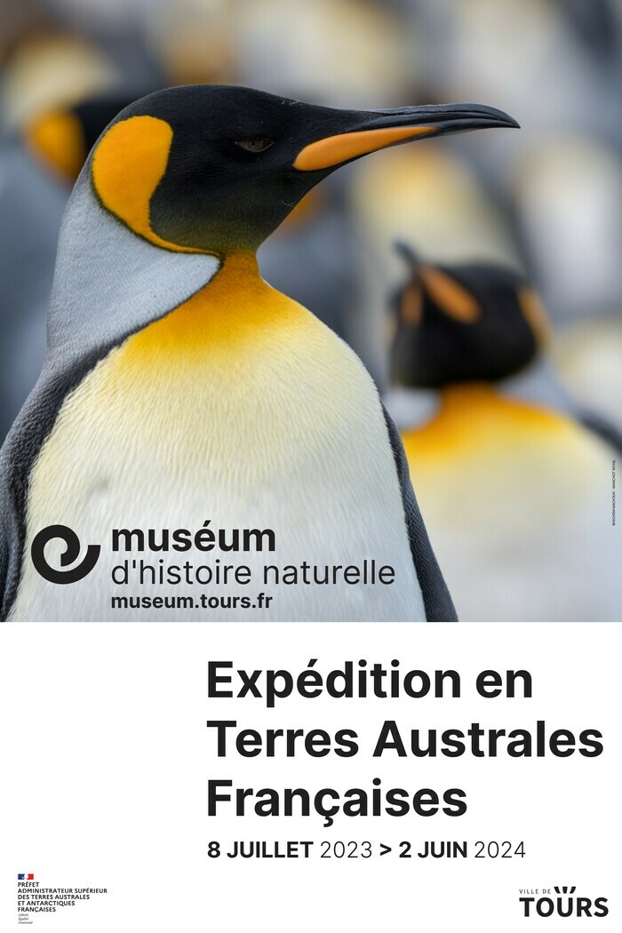 Visite libre de l'exposition temporaire "Expédition en Terres Australes Françaises" Muséum d'histoire naturelle Tours