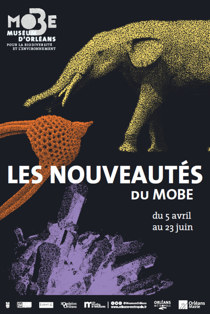 Les Nouveautés du MOBE Muséum d'Orléans pour la Biodiversité et l'Environnement (MOBE) Orléans