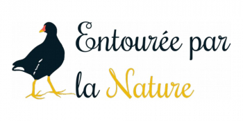 Atelier créatif botanique en plein air : Initiation au cyanotype Parc du Val de Chézine