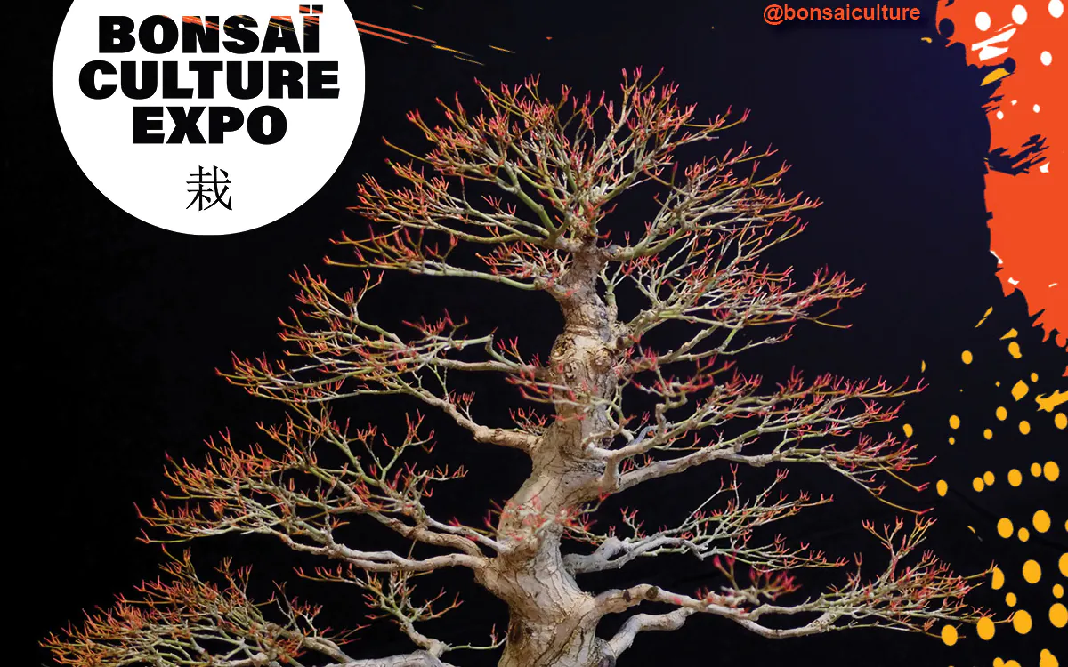 BONSAÏ EXPO 2024 Parc Floral de Paris Paris Unidivers