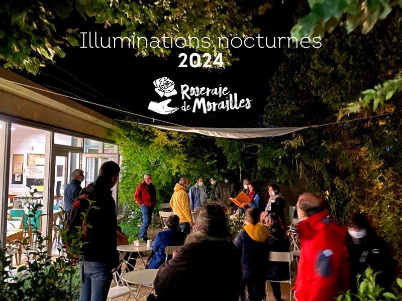 Illuminations nocturnes 2024
