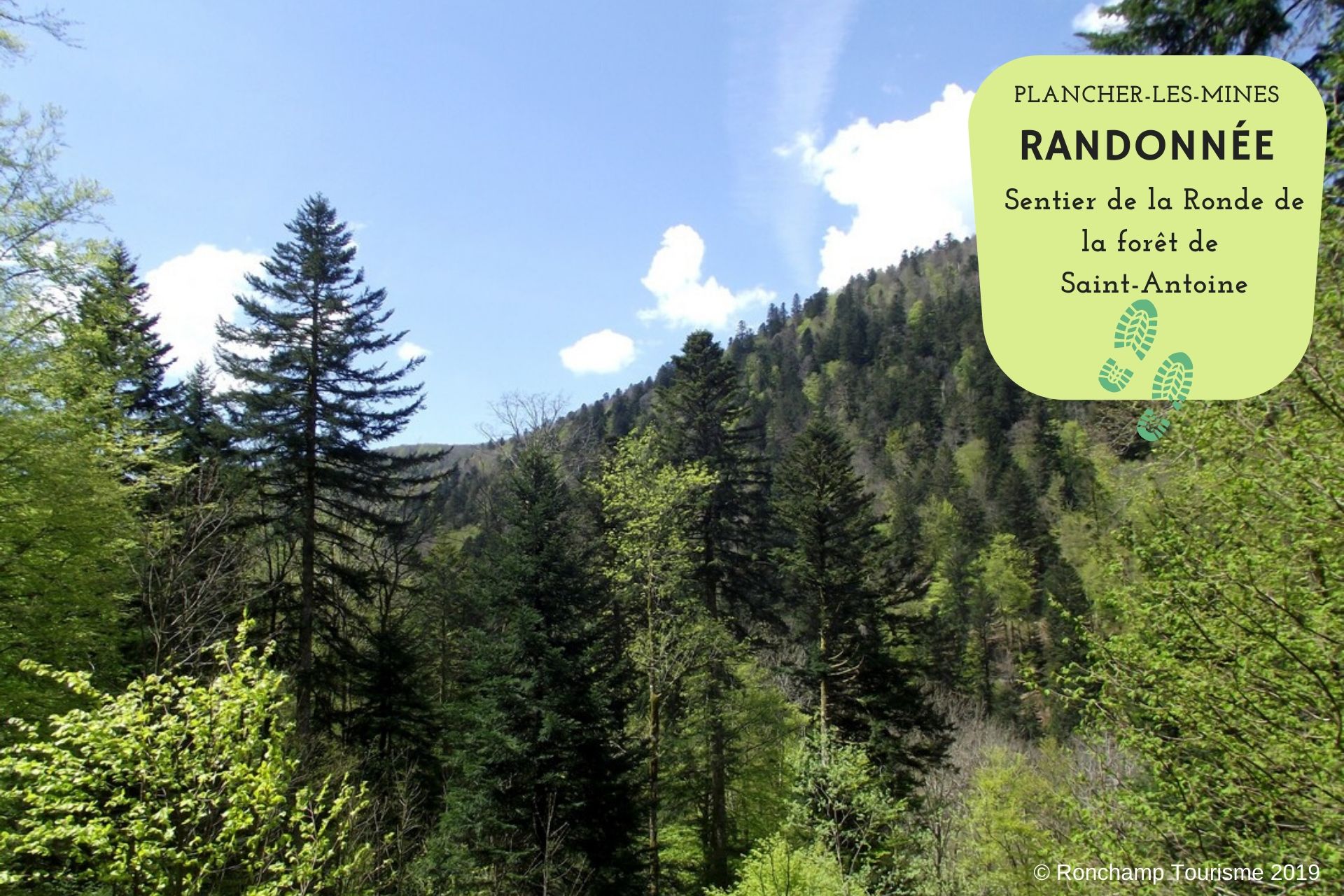 RANDONNÉE - LA RONDE DE LA FORET DOMANIALE DE Plancher-les-Mines Bourgogne-Franche-Comté