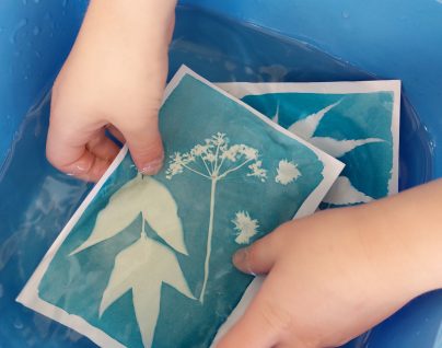 Atelier cyanotype "L’herbier photographique" En famille
