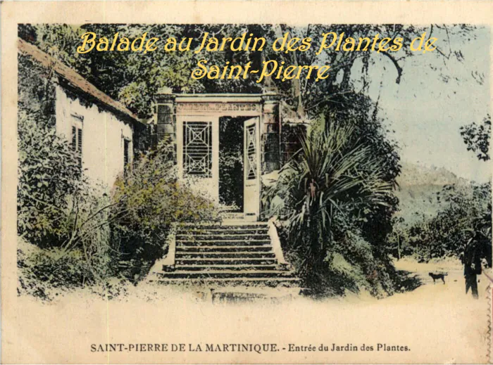 Conférence « Un jardin disparu : le jardin botanique de Saint-Pierre (1803-1902) » Salle de la Guinguette Saint-Pierre