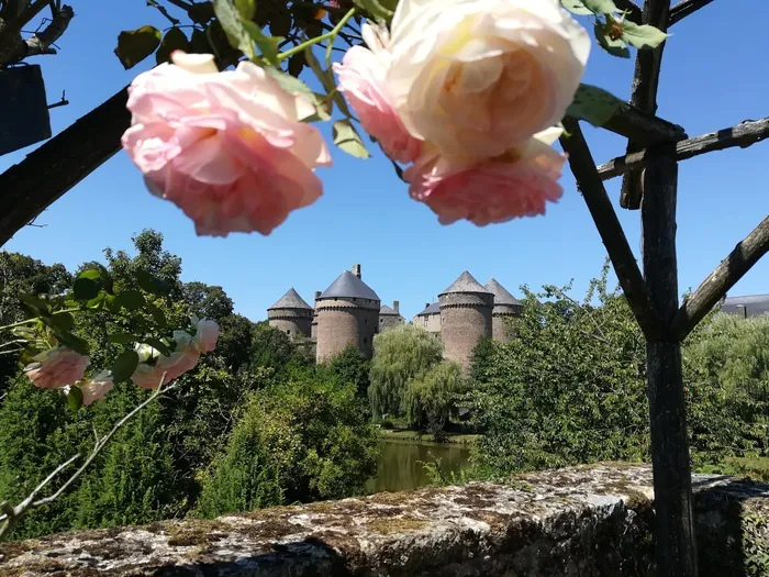 Visite guidée de la roseraie et du jardin médiéval Visite de La Roseraie et du Jardin Médiéval de Lassay-les-Chateaux Lassay-les-Châteaux