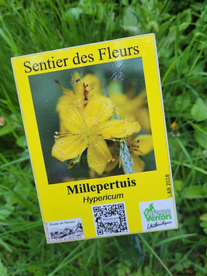 Balade-concert sur le Sentier des Fleurs Le sentier des fleurs à Gresse-en-Vercors Gresse-en-Vercors