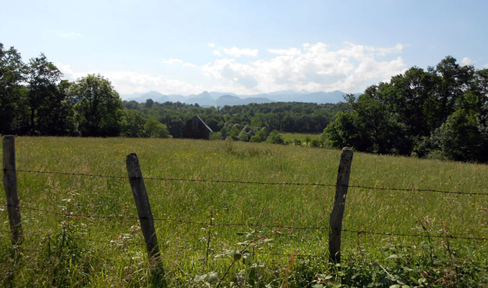 Heganbürü OssasSuhare PyrénéesAtlantiques samedi 29 juin 2024 Unidivers