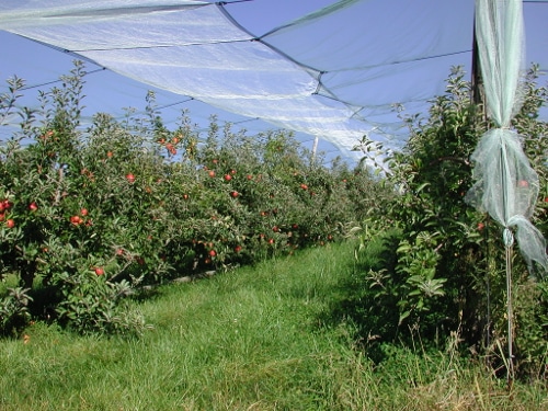 SaintMédard, vues sur la Garonne et sa vallée ClermontDessous Lotet