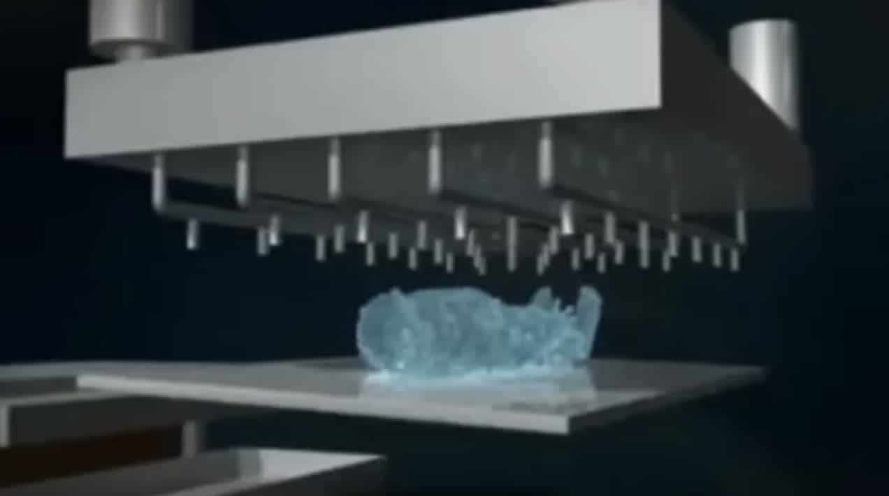 La promession suédoise : l’alternative écologique à l’inhumation et à ...